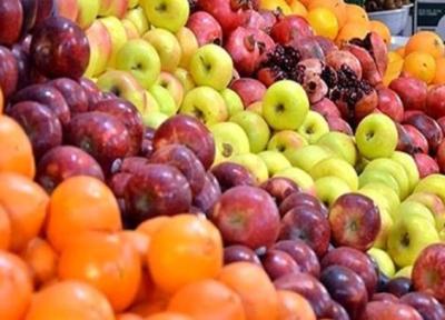 افزایش قیمت در هیچ رقم از میوه های داخلی نداریم